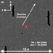 Top left panel: a median combination stack of 11 x 75 s g filter images of 2024 PT5. An arrow indicating the width of 10&Prime; is shown for scale, and the cardinal directions are indicated. Top right panel: a median combination stack of 5 x 50 s r filter images of 2024 PT5. Bottom left panel: a median combination stack of 2 x 60 s i filter images of 2024 PT5. Bottom right panel: a median combination stack of 2 x 60 s Z filter images of 2024 PT5. The image scale and cardinal in the r, i, and Z stacks are the same as in the g image stack.